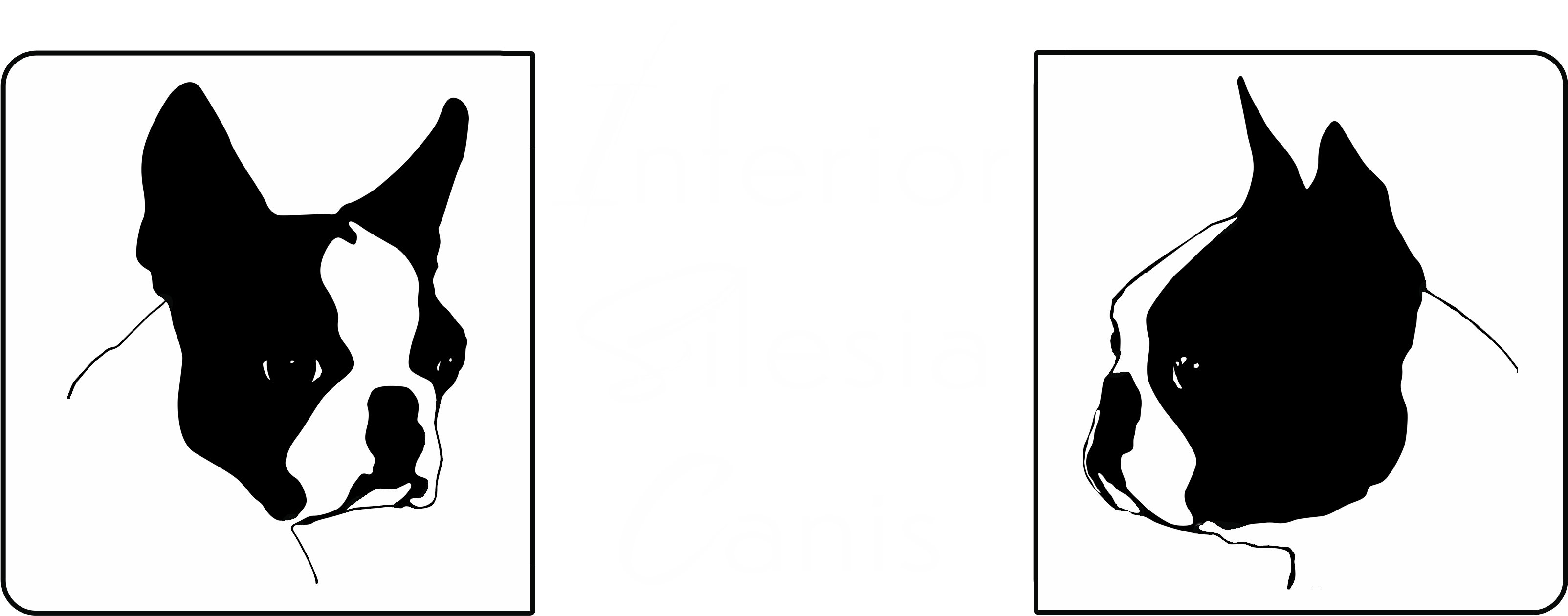 Logo Inferior Silesia Canis